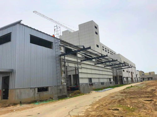 伯納天純 開(kāi)拓國(guó)產(chǎn)寵物食品新藍(lán)海