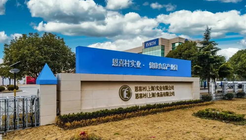 稅收收入40.03億元 金山鎮(zhèn)著力推進(jìn)創(chuàng)新轉(zhuǎn)型與松原軟件開發(fā)